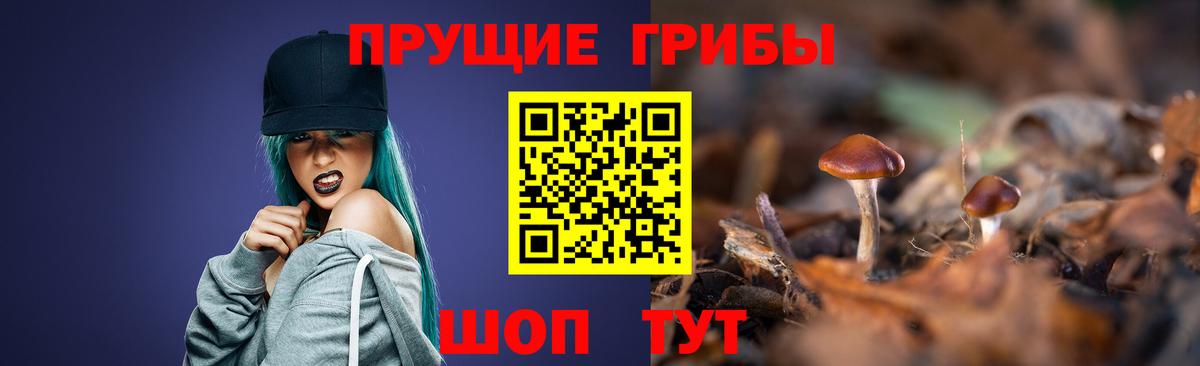 Иваново  Галлюциногенные грибы прущие грибы  наркотики  Вход с VPN 